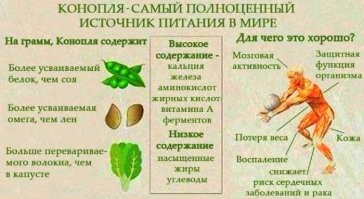 Зачем косые выступают в роли косарей и что даёт им загадочное растение?