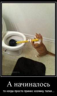 Просто гифки, всякие и&nbsp;разные