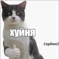 Пздц бл*ять