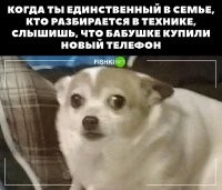 Гораздо хуже, когда тебя просят выбрать и купить смартфон соседской (знакомых) бабушке. Или дедушке.