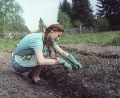 Известные люди... У них дачи не для выживания.
 Вопрос - где можно купить в Союзе такие диэлектрические перчатки? Или... спи***ить?