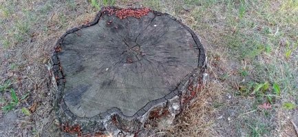 Уже начинать перегружаться?