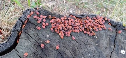 Уже начинать перегружаться?