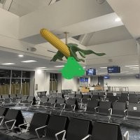 Ничего не знаю....