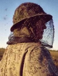 В Нидерландах создали дрон, который будет истреблять насекомых-вредителей