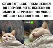 Если ты в отпуске просыпаешься ко времени когда идти на работу - значит ты не в отпуске, у тебя простой скучный выходной дома. А в отпуске это когда просыпаешься там где разница во времени с домом в нескольких часовых поясов и когда ты утром просыпаешься -  обычно на работе уже идут домой по причине наступившего вечера...