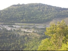 Девушка выжила после падения машины с 40-метрового обрыва