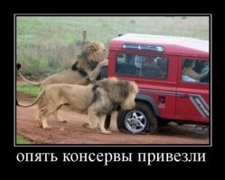 Весёлые, странные и жизненные демотиваторы