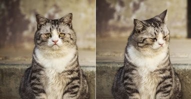 Йожика картинки Выпуск 363