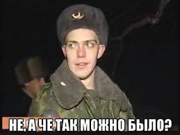 Кот выпал с 23 этажа и выжил