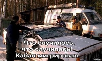Напомнило особенности национальной охоты в зимний период