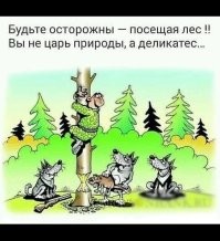 В тайге медведь нашел лагерь охотников и решил немного поработать над их машиной