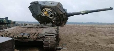 В таком разрезе леопёрд смотрится эффектнее.