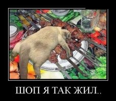 Весёлые, странные и жизненные демотиваторы