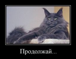 18 фотографий очень больших котиков