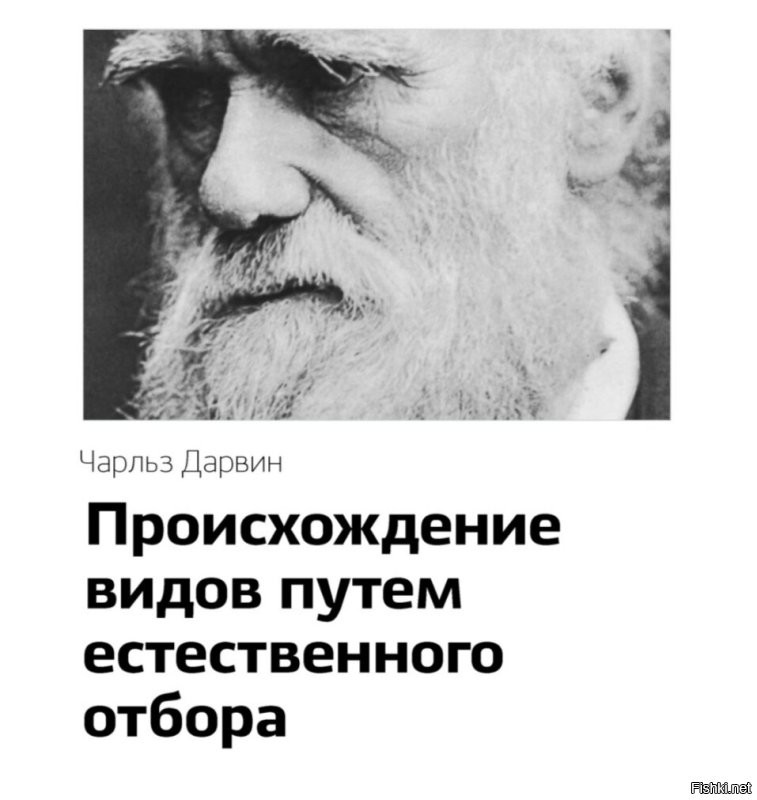 Слабоумие и отвага: четыре человека погибли в попытке повторить челлендж из Тик-Тока