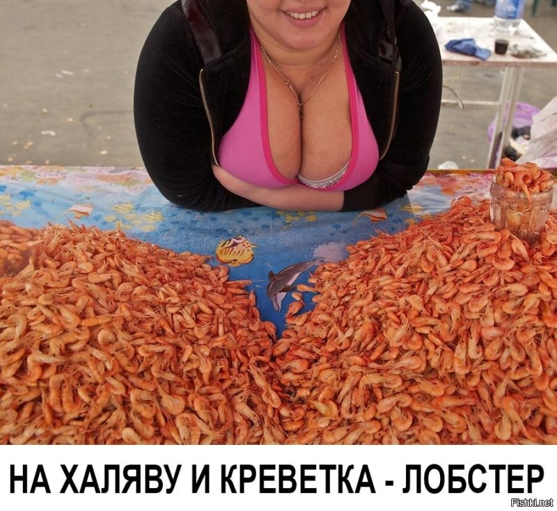 Берег Азовского моря на Кубани усыпан креветками