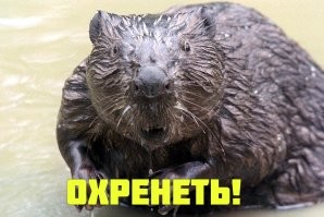 Сочи «бомбит» огромный град размером с кулак