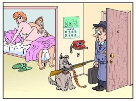 Намешалось