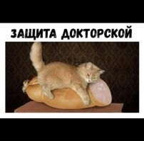 Вот как выглядит истинная защита