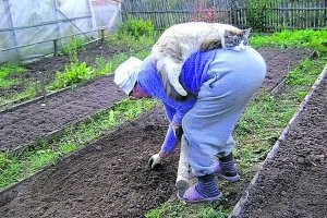 Как-то фу...
Ожидал второй картинкой ну хотя бы это...