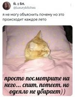 Потеет? Что-то новое в кошачьей физиологии?