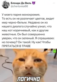 Если он видит мир чёрно-белым, то откуда он знает, что трава зелёная?