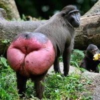 Там Алексею очень будут рады)))