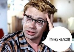 Плакал от цен на яйца: мужчины признались, когда в последний раз у них текли слёзы