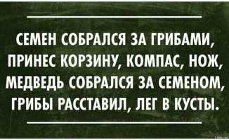 Бесстрашный житель Камчатки хотел покормить медведя из рук