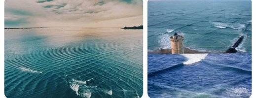 Роботы заявили, что могут управлять Землёй лучше, чем люди