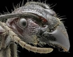 Бля, ночью по очереди приснятся - хрен проснёшься!