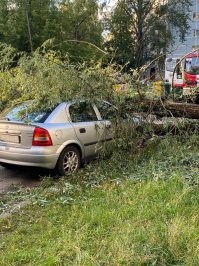 Жена попала (вернее я, она только рулит, а всё остальное на мне) 03.07.23!