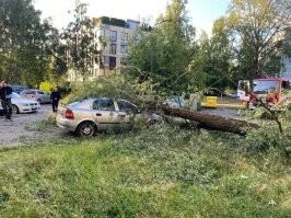 Жена попала (вернее я, она только рулит, а всё остальное на мне) 03.07.23!