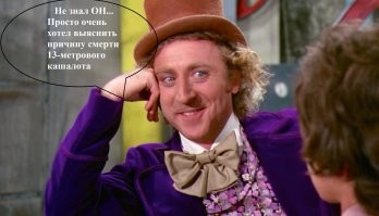 Ученые нашли «плавающее золото» внутри мёртвого кита