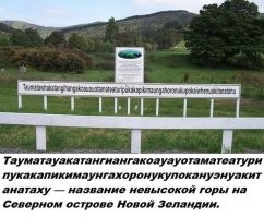 или вот это ))))