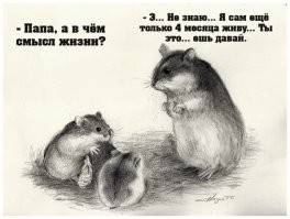 Людей спросили о самых нелепых смертях хомяков
