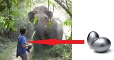 Просто гифки, всякие и&nbsp;разные