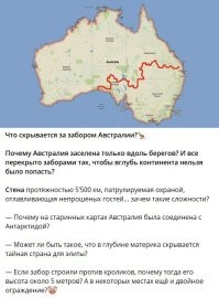 Монстр вылез из-за забора...
