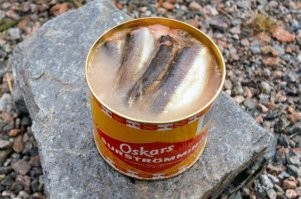 Настало время сжечь чего ни будь шведское.