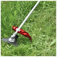 В своём возрасте, на даче, у меня есть это... Только не говорите, что это та же малка, только взрослая))))