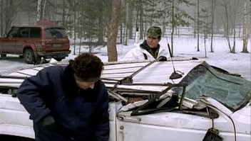 Внезапная встреча грибников со стадом кабанов