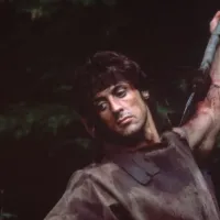 Внезапная встреча грибников со стадом кабанов