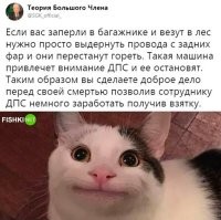 А в старых автомобилях ВАЗ их наоборот нужно было починить лежа в багажнике! Если в них исправно светятся все лампочки, то это автоматически привлечет инспектора ГИБДД остановить эту машину и проверить почему. )))