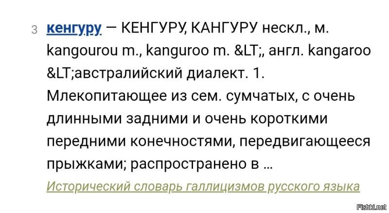 Вот слово "коала", в отличие от "кенгуру" имеет и мужской и женский род. Просвещайтесь.