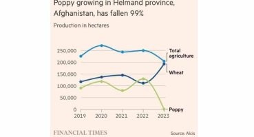 Производство наркотиков в Афганистане - после ухода матрасников "0"