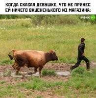 это бык, а не корова