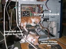 Админы поймут: типичные будни технических специалистов разного уровня