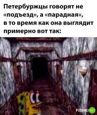 "Парадная" говорят "понаехавшие"
Приличные питерцы знают (в школе учили) стих Некрасова "Вот парадный подъезд..." ПОДЪЕЗД, бл.ядь! А никакая не "парадная".