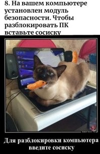 Админы поймут: типичные будни технических специалистов разного уровня